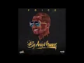 By Any Means - Voice