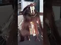 Como hacer un Balayage en cabello rojo