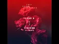 Visions