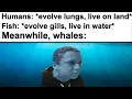 Memes About Evolution