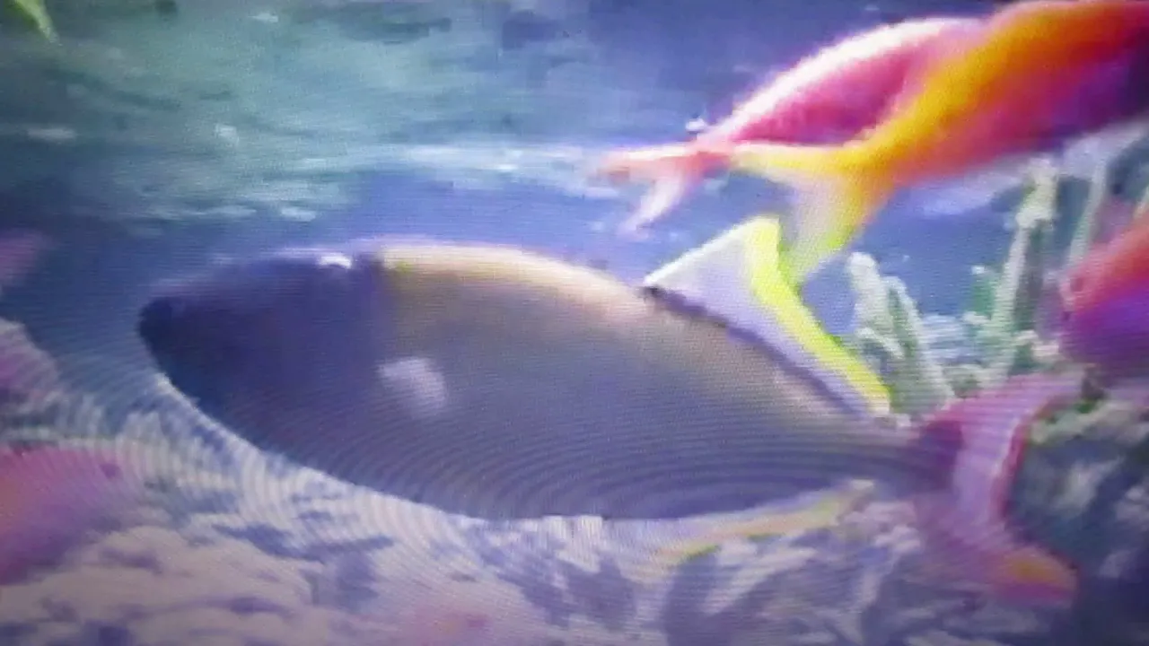 Musique & à Blue Bayou ( Mireille-Mathieu )