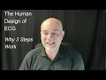 Why Three Steps Work Human Design Behind ECG Learning