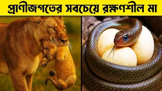 শুধুমাত্র মায়ের ভালোবাসাই আসীম – কিছু বাস্তব প্রমান দেখুন! Best MOMs ever in the world | Pinikpi