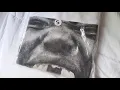 Opening BULLY LS-01
