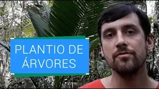 FORMAS DE RESTAURAR UMA FLORESTA