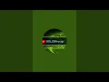 Fruit Boom live