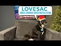 Lovesac Couch Cover Installation Made Easy