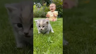 A Baby And A Wobbly Baby Kitten Taking Their First Steps So Cute And Heartwarming 
