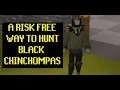 A new RISK FREE way to do Black Chinchompas OSRS Old School Runescape