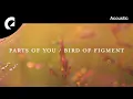 Bird Of Figment feat. Divty - Promises