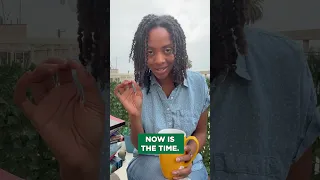 Video preview image