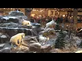 Cabelas East Hartford CT