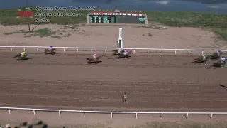 Wyoming Downs Live Horse Racing July 11 2026