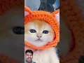 Download Lagu Billi wala tiktok #billi #cat  #shorts