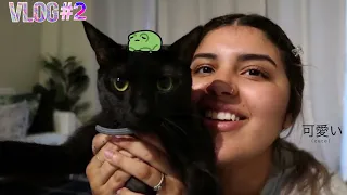 vlog 2 marian tatte