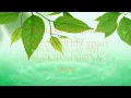 Download Lagu George Duke - Born To Love You [w/ lyrics]