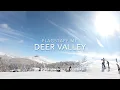 DT s Trees at Deer Valley