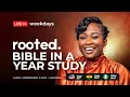 Download Lagu ROOTED DAY 218 - BIBLE IN A YEAR STUDY