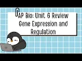 Unit 6 AP Biology Review