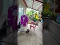 Download Lagu r107 drone cheap drone for begginers#memes #drone #reivew