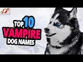 Vampire Dog Name Ideas - TOP 10 Vampire Dog Names For Male Female
