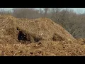 Springfield s Yardwaste Recycling Center offering deal on mulch