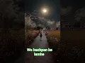 Download Lagu wo bachpan ke lamhe 😍 #goodnight #religion #love #rain #nature