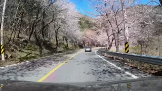 [4K] Drive from Hakdong to Sagok in Geoje Island, Korea. 학동에서 사곡리까지 거제도 해안도로 드라이브 썸네일