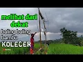 Download Lagu KOLECER-BALING BALING BAMBU ADA YANG 5 METER || mainan tradisional kerajinan tangan dari bambu