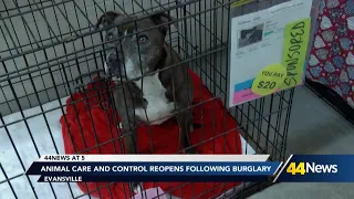 Evansville animal shelter burglary dog taken doors smashed