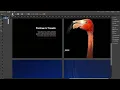 Multiscroll Widget Tutorial by MuseThemes com