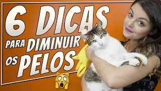 Como Diminuir a Quantidade de Pelos Em Casa | DICA DE GATEIRA #12