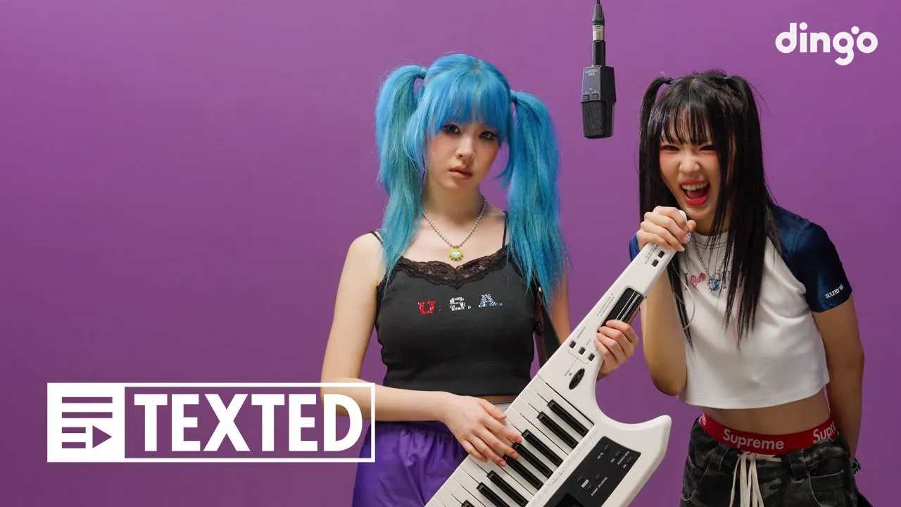 딩고 뮤직 / dingo music channel featured image