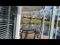 My pet coot Coo Coo comes when I call