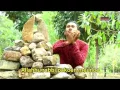 Download Lagu DEK AROEL   RAPOPO  Album House Mix Special D' Aroel