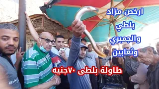 ارخص مزاد  تعابين وبلطي والجمبري  بلدى وحى  وطازه من المراكب دندنها