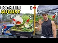 5 URGENT August Garden Tasks Every Gardener Must Do NOW