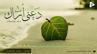 أنشودة دعني أراك محمد حيدر 