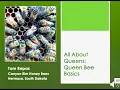 2 All About Queens Queen Bee Basics