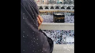 يا من خيركم الله بين جمال وزهو الدنيا 