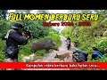 Download Lagu FULL ❗MOMEN BERBURU BABI HUTAN TERBARU Seru | Wild Board Hunting |
