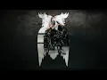 THE OWL - A film by Peter McKinnon
