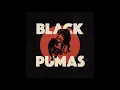 Black Pumas - Old Man