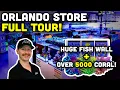 The BEST Saltwater Fish Store in Florida Full Store Tour