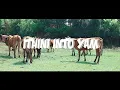 Download Lagu Sthamzen ft. Nasiphi - Ithini Into Yam (Official Music Video)
