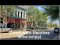 A Day in Natchez Mississippi Small-Town Charm by the River