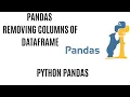 Removing Columns from Pandas Dataframe Drop columns in Pandas DataFrame