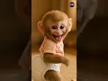 Download Lagu He Farted… Then Bursted Into Laughter! 😂🐒