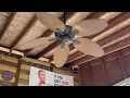 Honeywell Ceiling Fans Palm Island 52 Inch Tropical Indoor Outdoor Ceiling Fan with No Light Pull