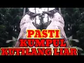 Lagu kutilang ribut...!!!  panggil kutilang liar di jamin ampuh. 2. jam full suara jernih